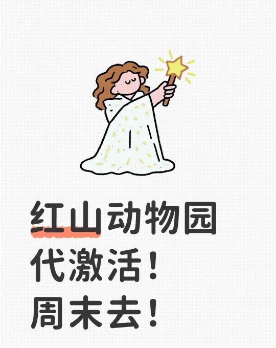 红山动物园代激活！
周末去！南京 红山动物园