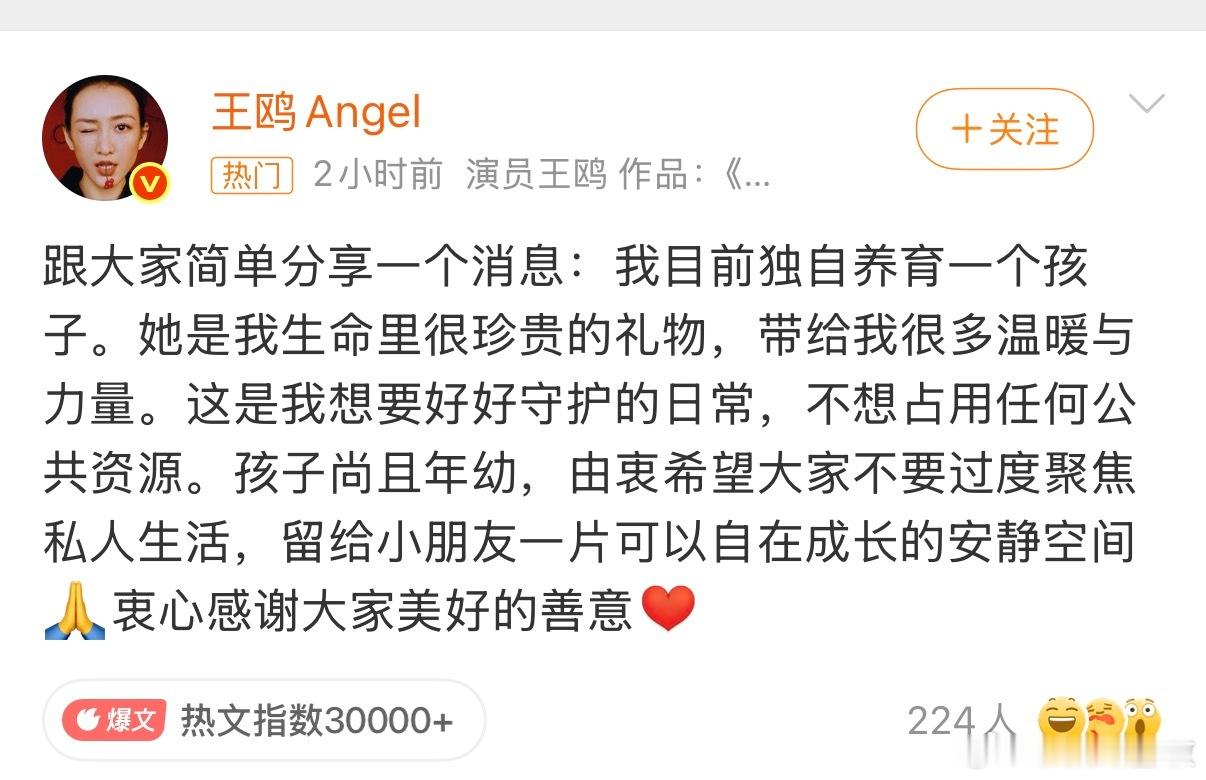 王鸥 我目前独自养育一个孩子不用担心被婚姻吸血，有能力有意愿养育，对孩子来说最好