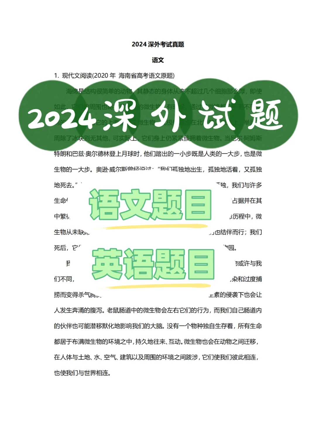 2024深外点招试题出炉！