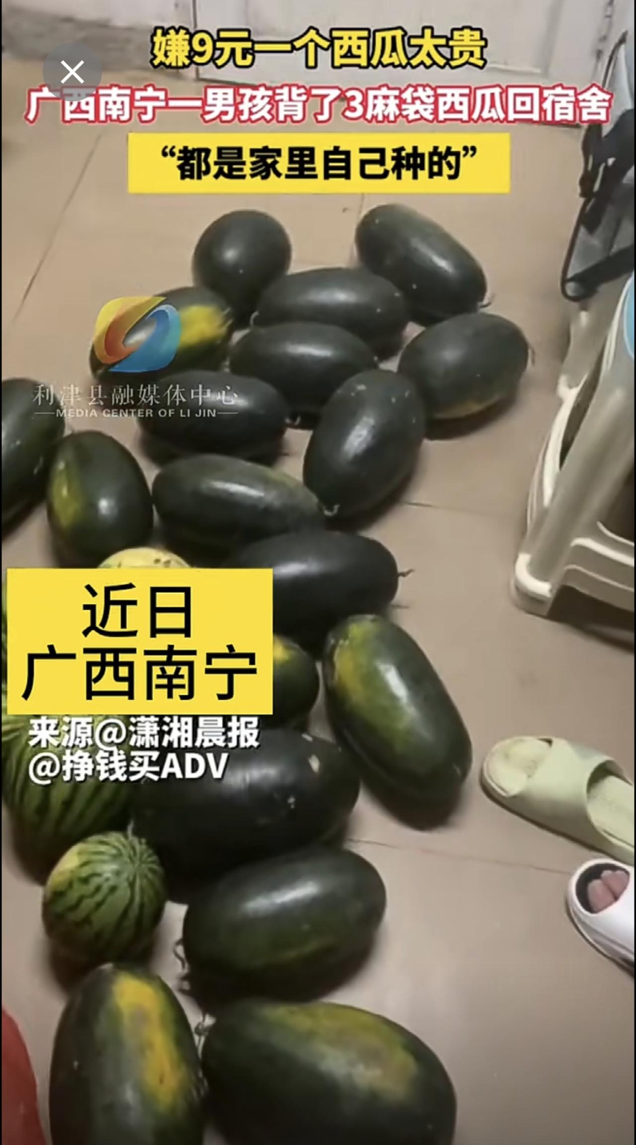 嫌9元一个西瓜太贵，广西南宁一男孩背了3麻袋西瓜回宿舍，“都是家里自己种的”