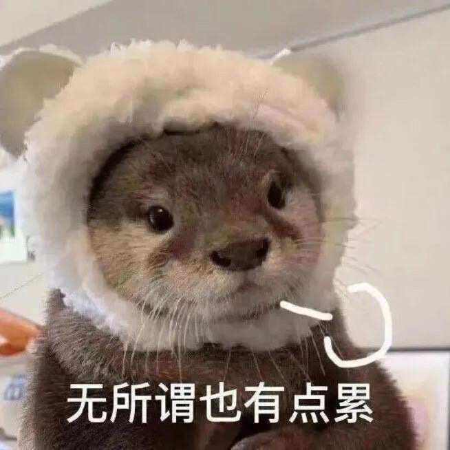 这个月就休息了一天，实在扛不住今天休息。大早上就被电话打醒，语音和消息多到爆炸，