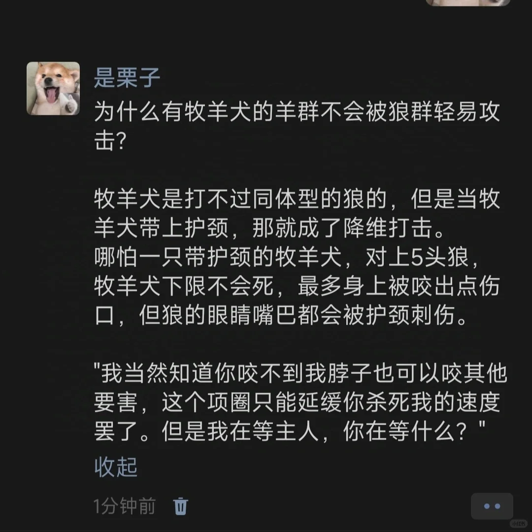 为什么有牧羊犬的羊群不会被狼群轻易攻击?