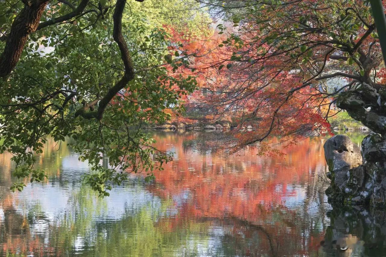 江南的风景处处是温婉。

远山如黛，近水含烟。
疏林红叶，芙蓉将谢，天然妆点秋屏