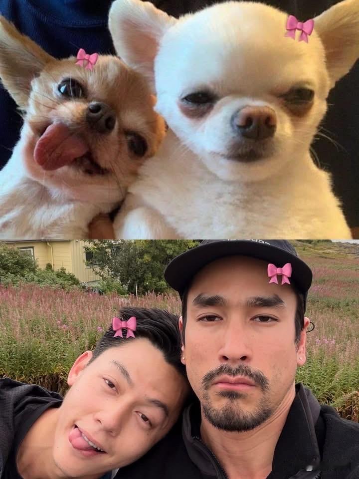 Nadech、Mark。。🐶🐶