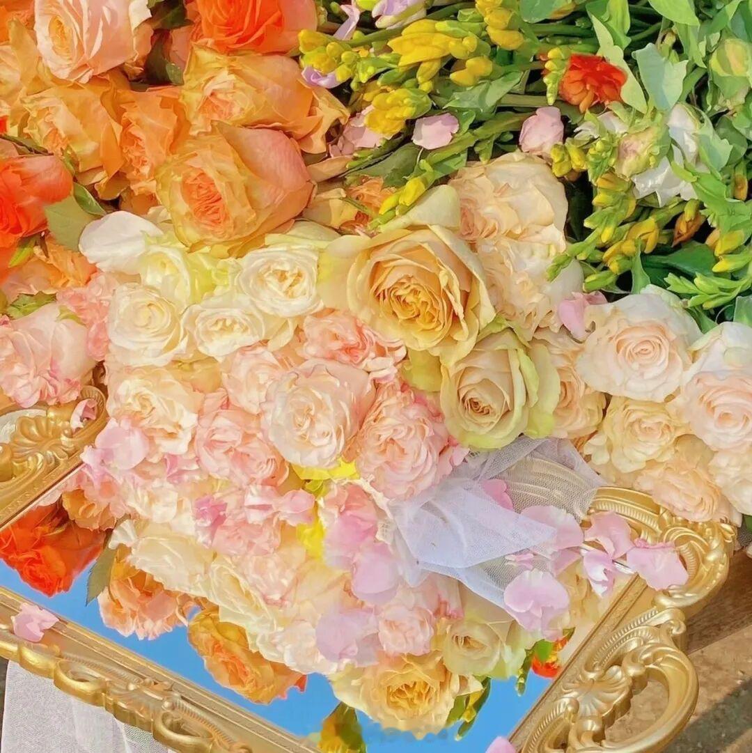 「世上没有爱情，那根本就是幻想。」「你感觉到爱的时候就会明白。」——《和莎莫的五