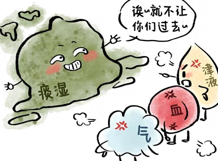 祛湿超参苓白术，化痰碾压二陈丸！一张经典名方，连根清空一身痰湿
大家好，我是陈大