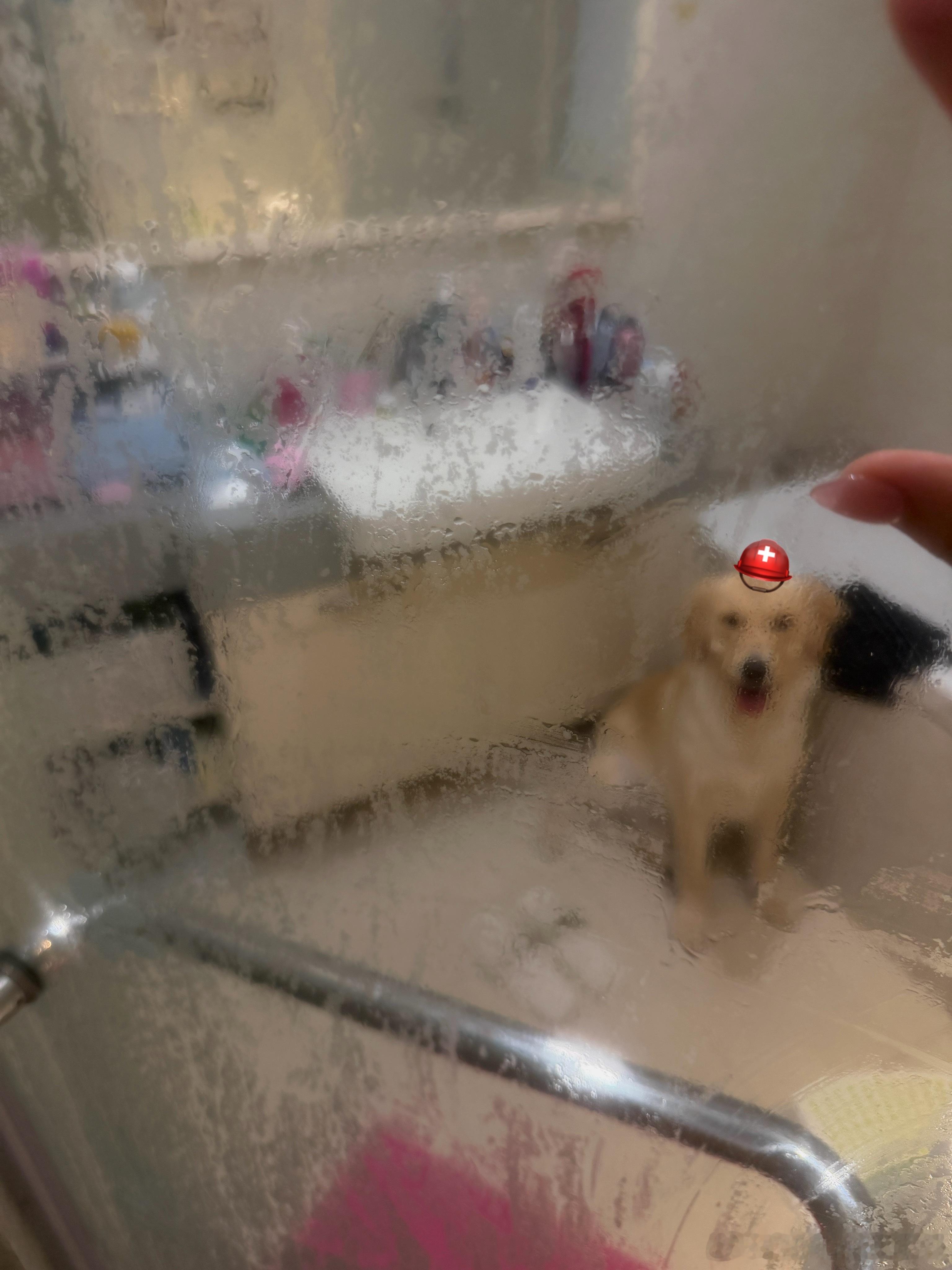 陪伴妈咪的，是你的小小身影！