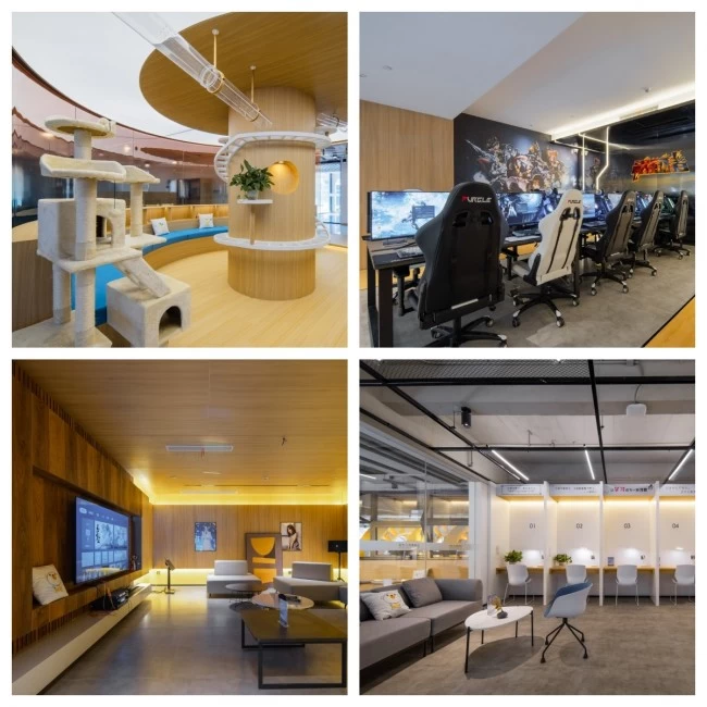 漫柏未来人才社区：60天满租，解码宿迁数字经济“人才磁极”