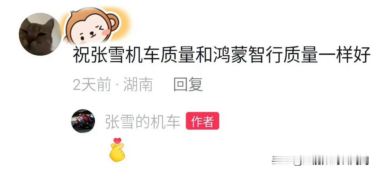 “祝张雪机车质量和鸿蒙智行质量一样好”，这句话看怎么理解了，对于部分群体而已，它