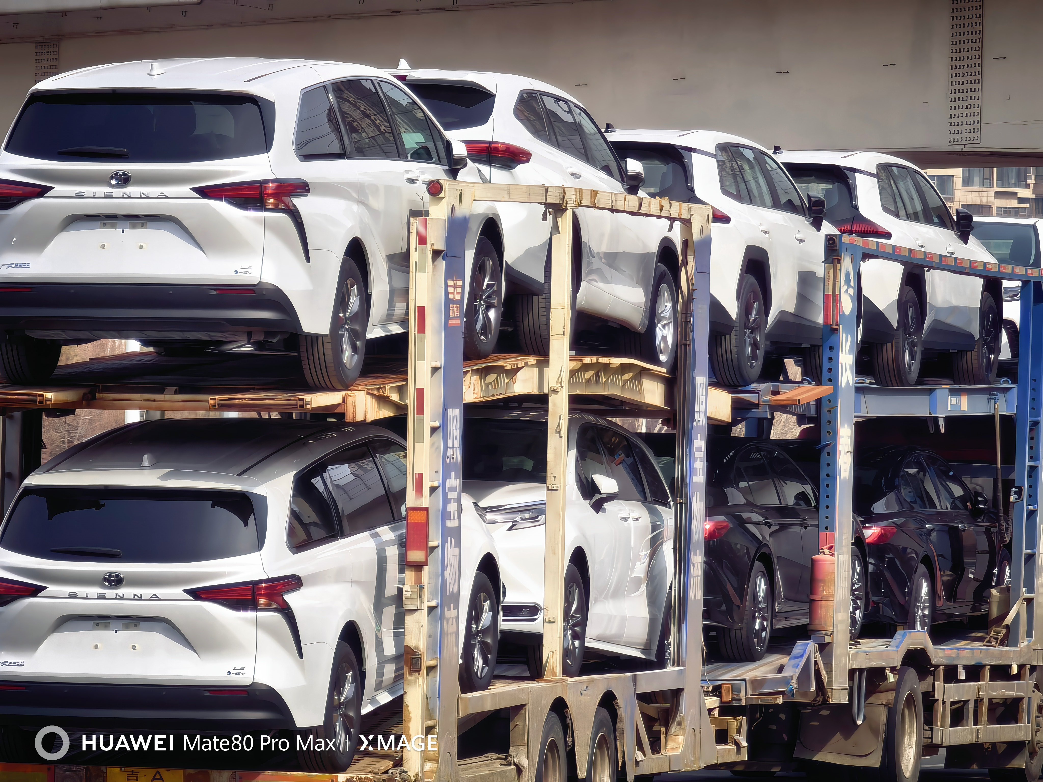 SIENNA今年要有新的对手了这个对手强的可怕