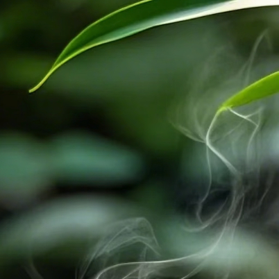向善是一种文明，也是一种光明。善良之举，需要人人拥有，善良之歌，需要人人唱和。让