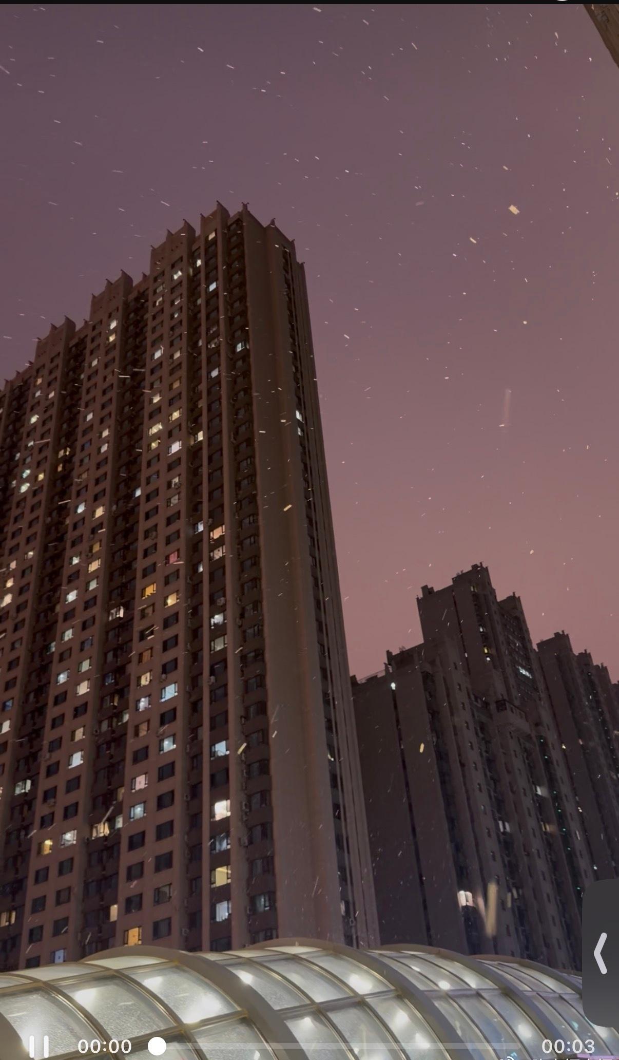 哈尔滨又下雪了外地人羡慕，根本不懂本地人的痛，和对春天的企盼！就指着家里的花花草