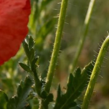 正能量人间百态皆是风景，人生起落皆是成长，接纳所有遇见，释怀所有遗憾，方能在岁月