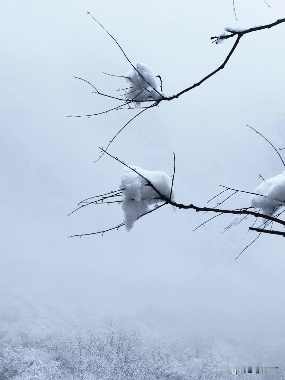 这次出行巧合的是，天气作美，在出行的前一天下了雪，所以，所到之处尽是银花世界。相