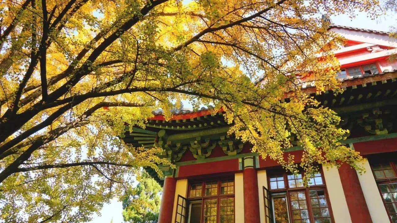 致虚极