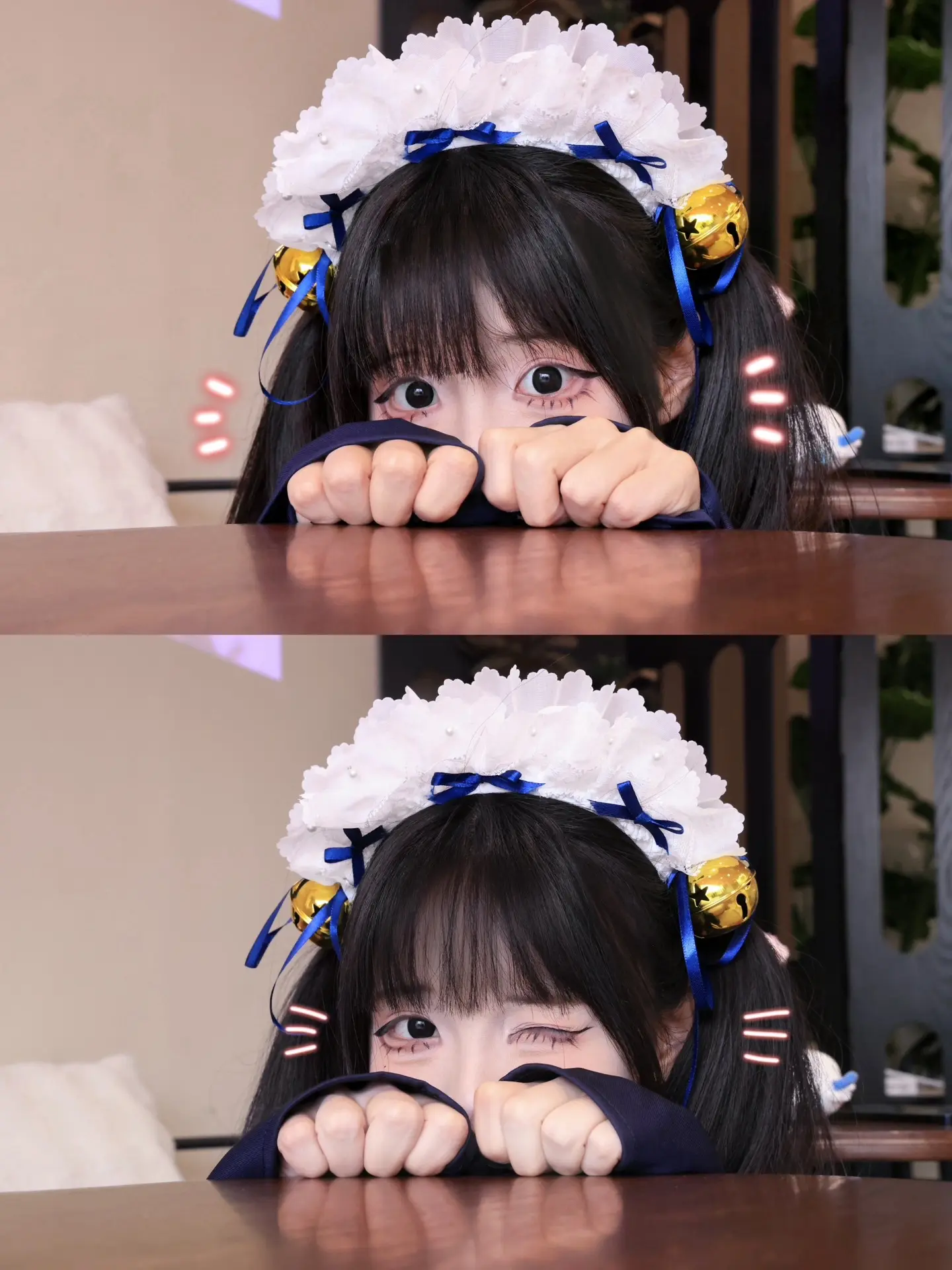 这么萌的小猫呀～