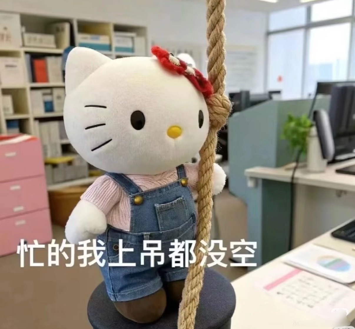 一到七月就忙死 人怎么能这么忙