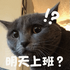 各位尊贵的粉丝宝宝 早安～🫰 现在是2026年2月23日 星期一早上8:30 