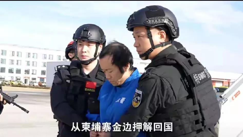 小小年纪头发都秃得不像样了，要知道陈志才30多岁，是准九十后。
但他包养了好几个