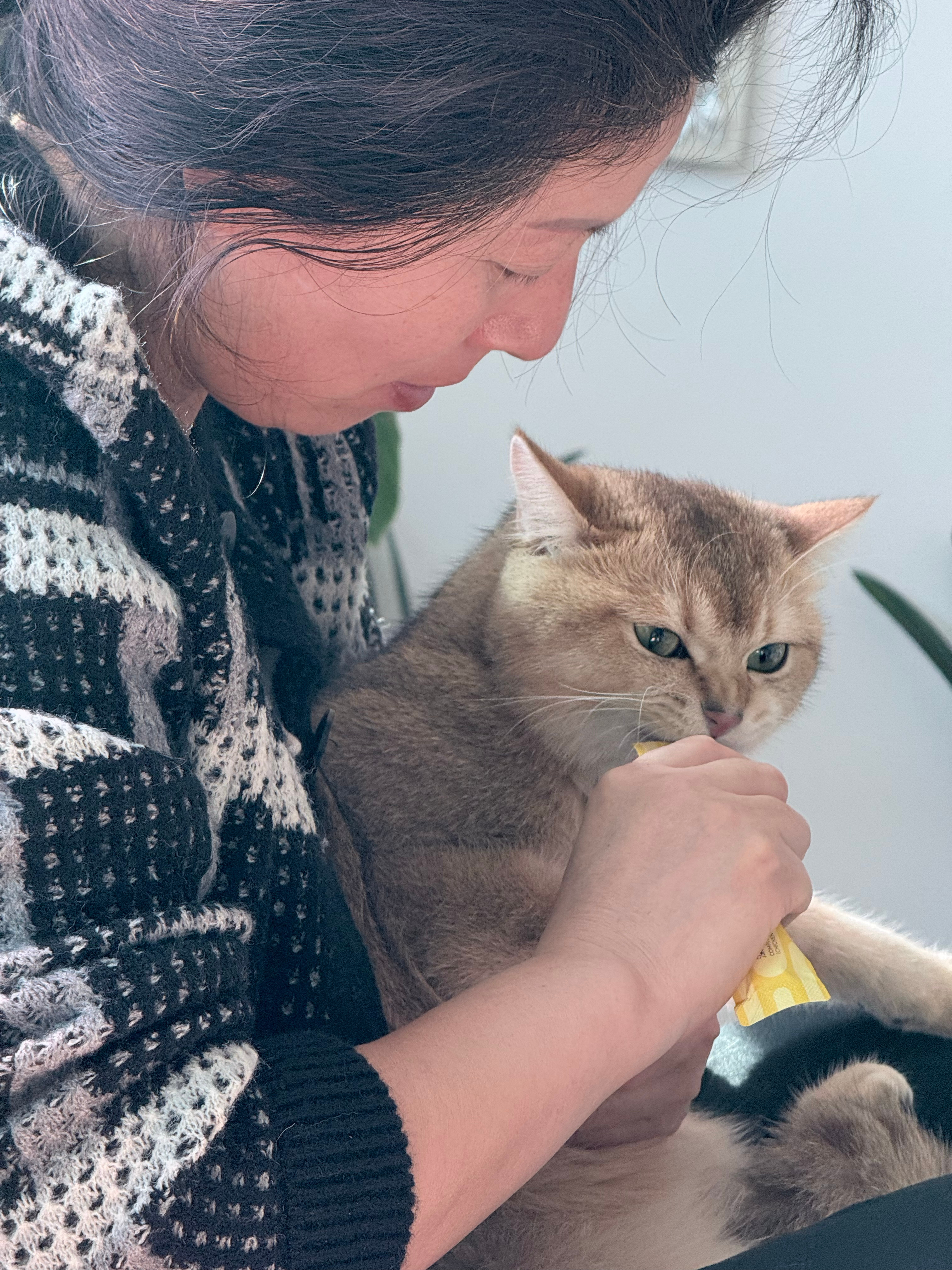 一年前给她打电话说我养猫了给我臭骂一顿 决裂半个月一年后的她…我不认识了  ​​