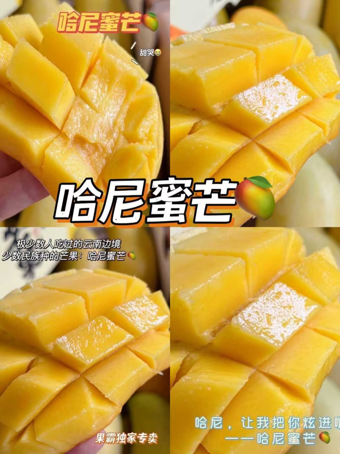 云南哈尼族部落的哈尼蜜芒！你吃过吗？