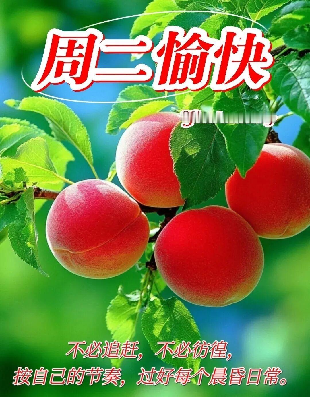 真正恢复能量的，是下班后做这5件事
对于成年人而言，只有下班后的时间才真正属于自