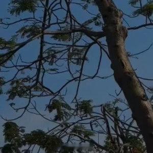 人生感悟 人这一辈子、只要不对任何人期待太高、就不会有太多的痛苦 