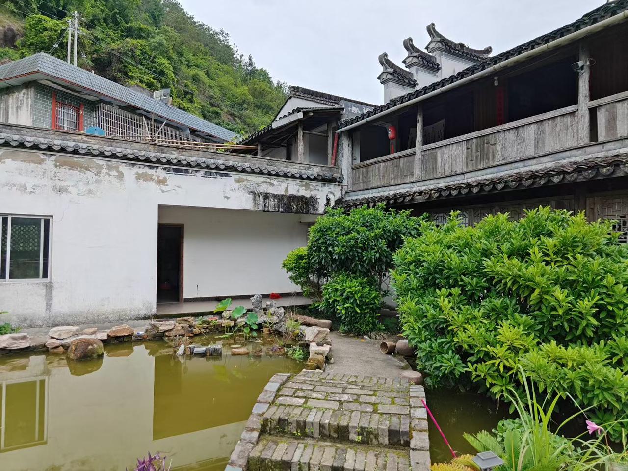 广东信宜市慢山遍野都是山花烂漫，希望全国各地的朋友来这个地方旅游摘三华李！