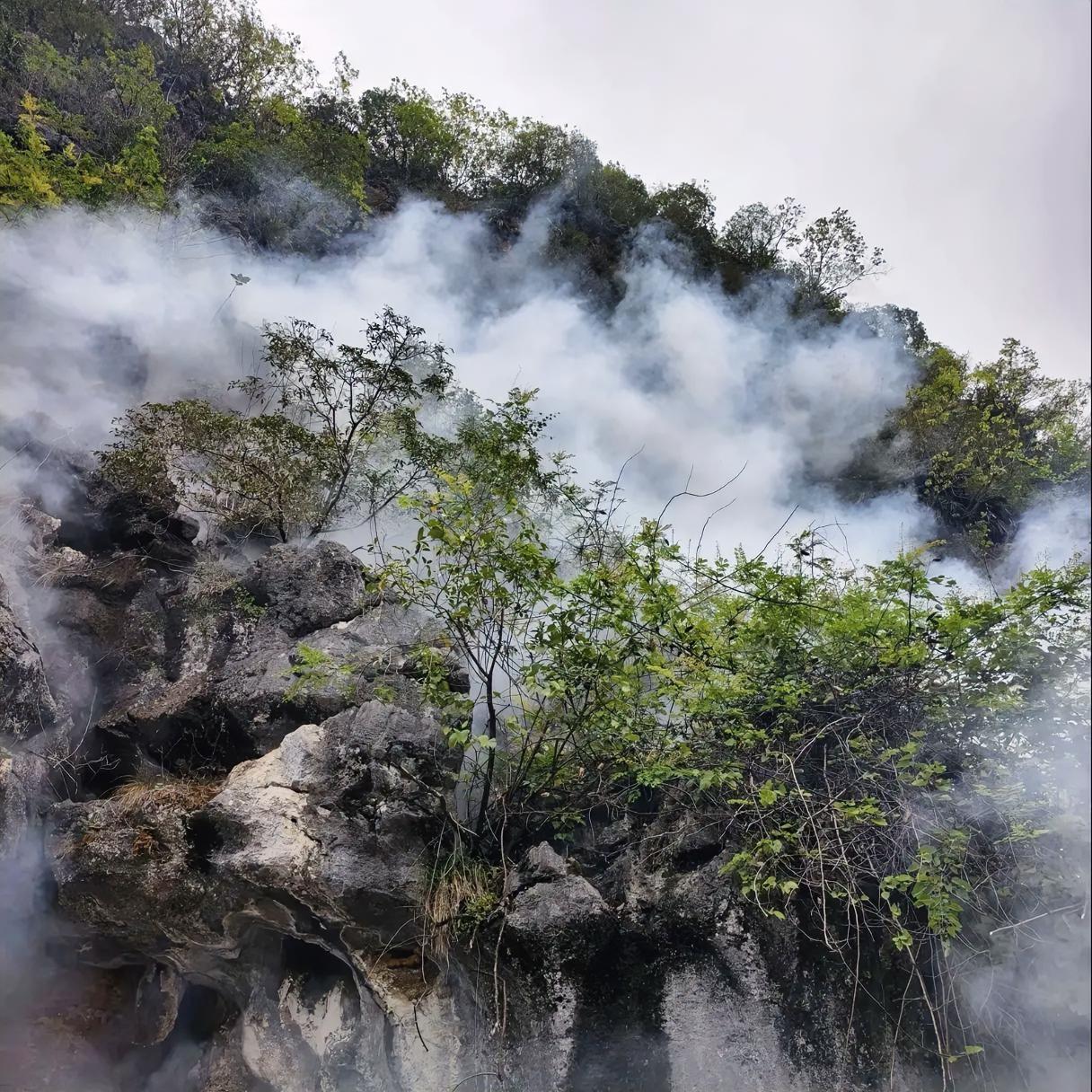 每年扫墓，大家遇到最困难的什么？

又是一年4月5日清明节，为了得到太公太婆的保