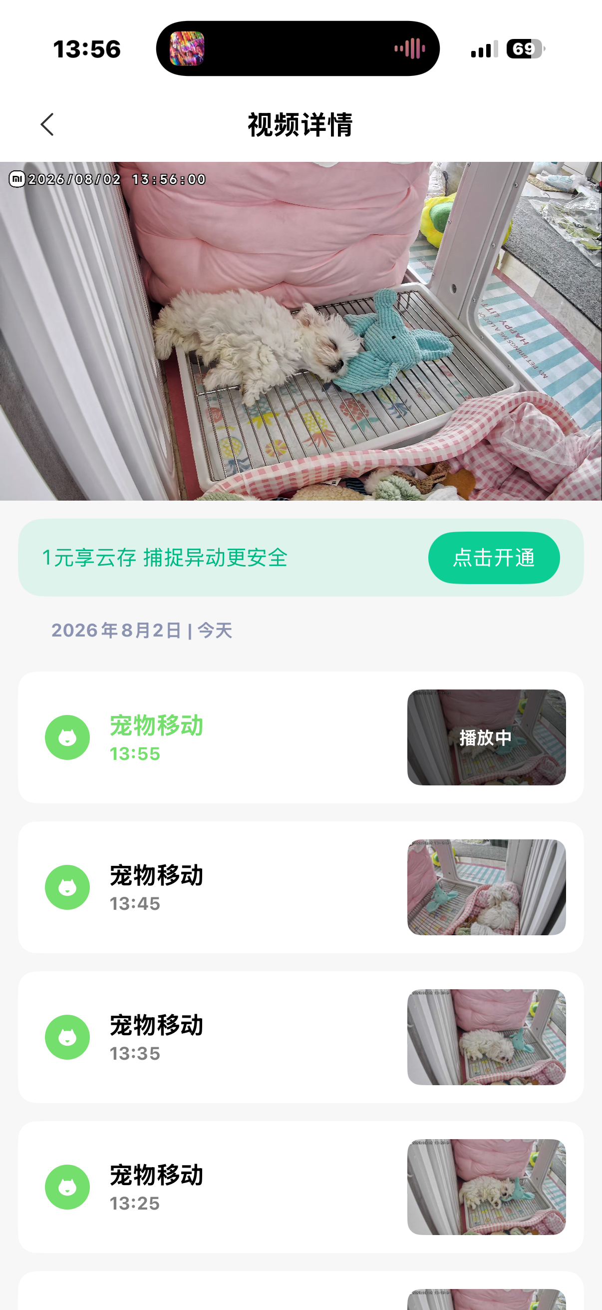 每天都在睡觉 