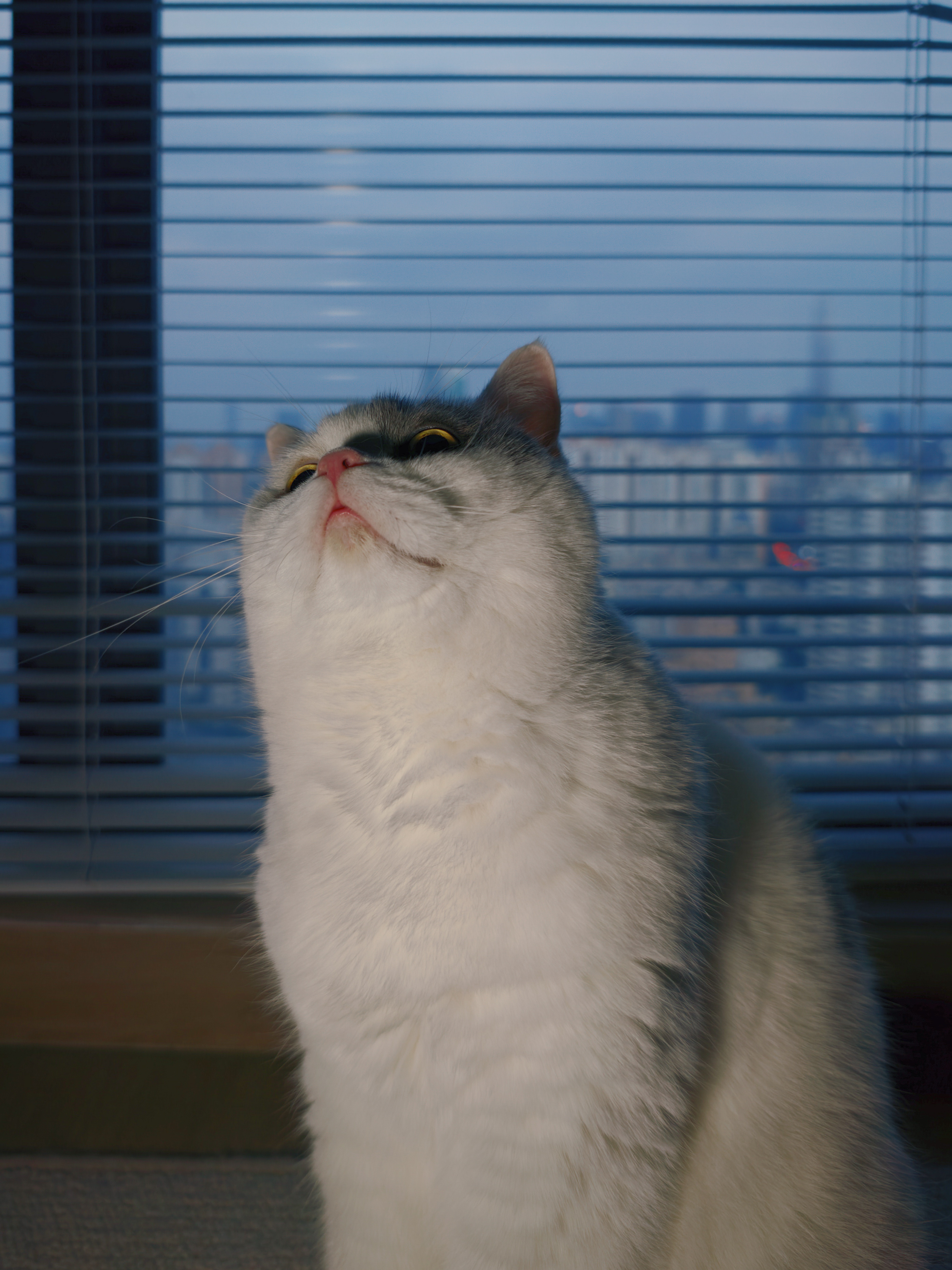 分享图片 ​​​