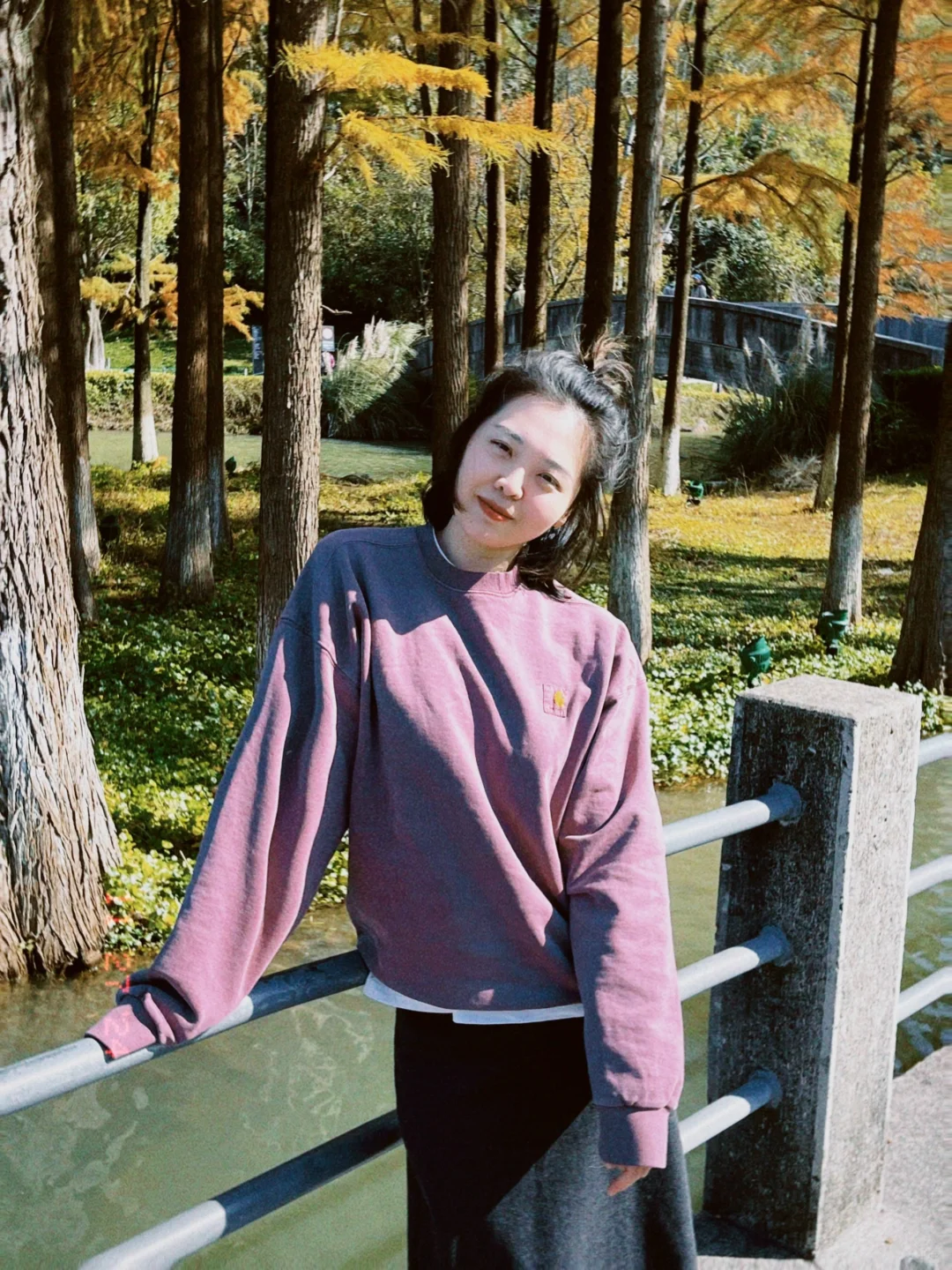 临安｜每年秋天看一次青山湖水杉🍂