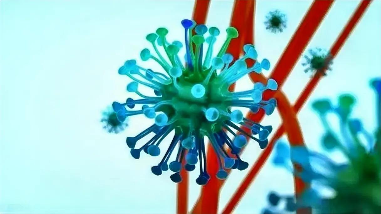 没完没了？美国疾控中心（CDC）的呼吸道病毒监测系统显示，一种几乎不为人知的人类