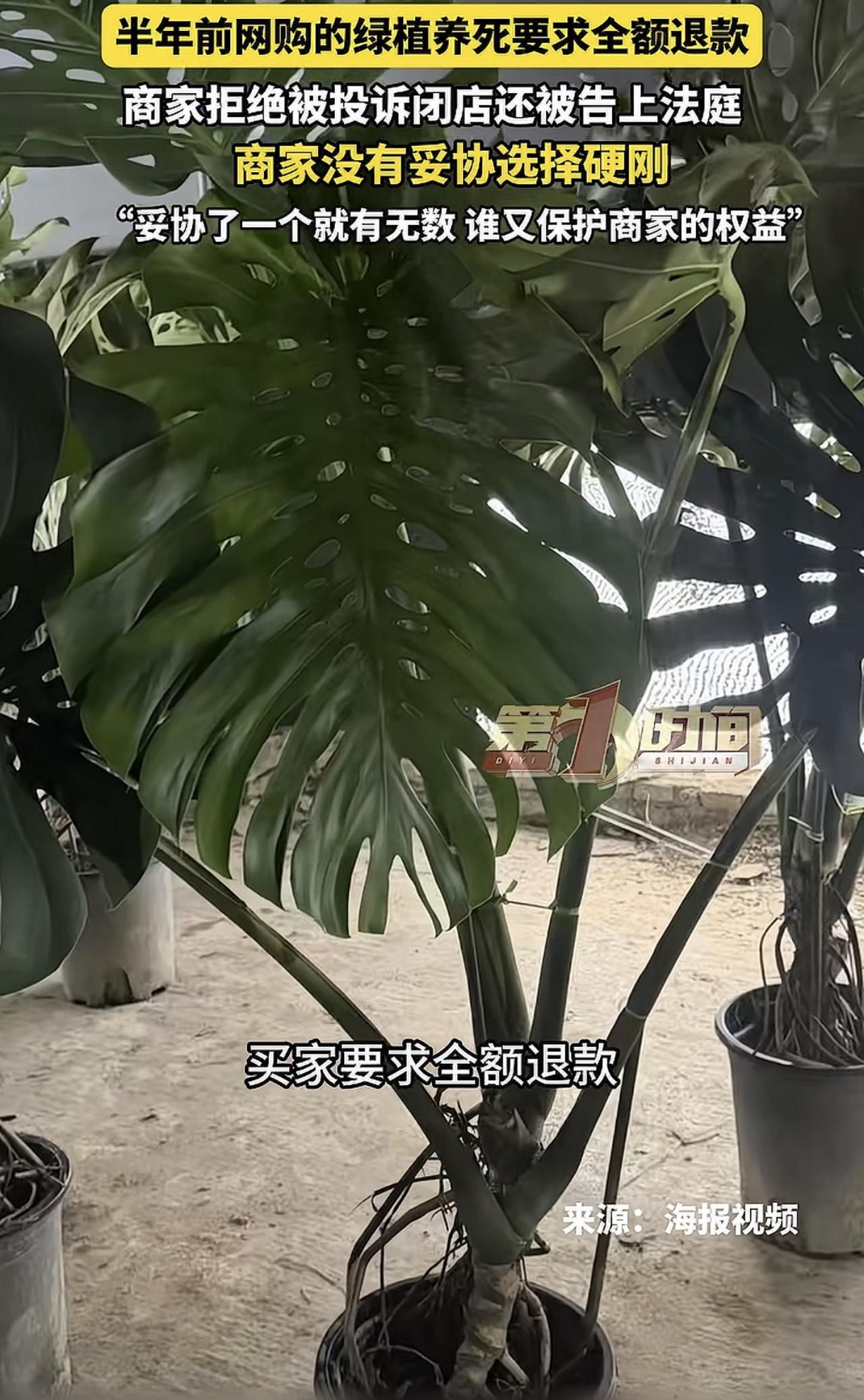 其实我感觉最恶心的还是平台。平台那些小二也知道买家不讲理，却非要逼着商家仅退款了