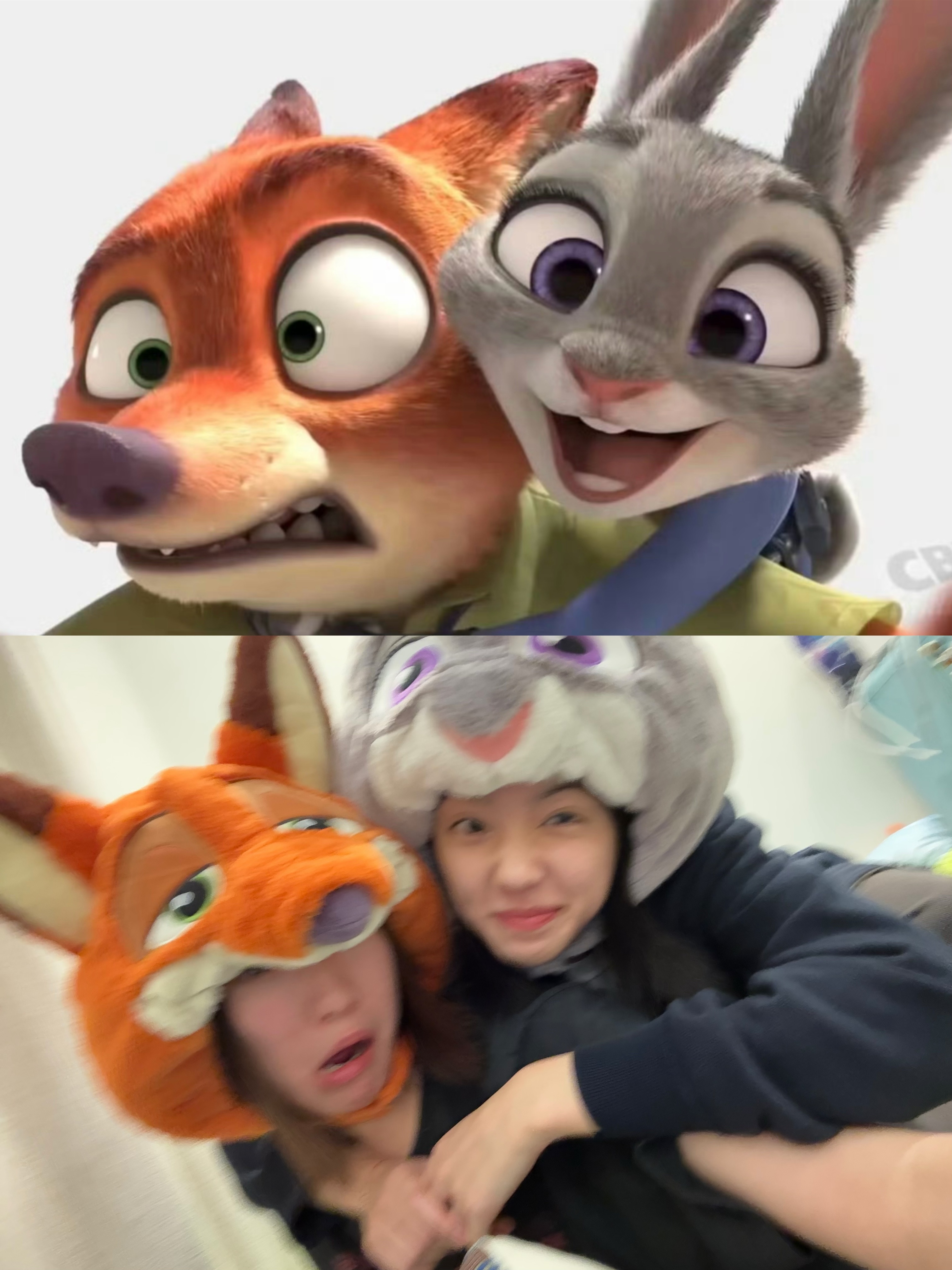 ՞⸝⸝'ᜊ'⸝⸝՞ 🦊🐰 ​​​