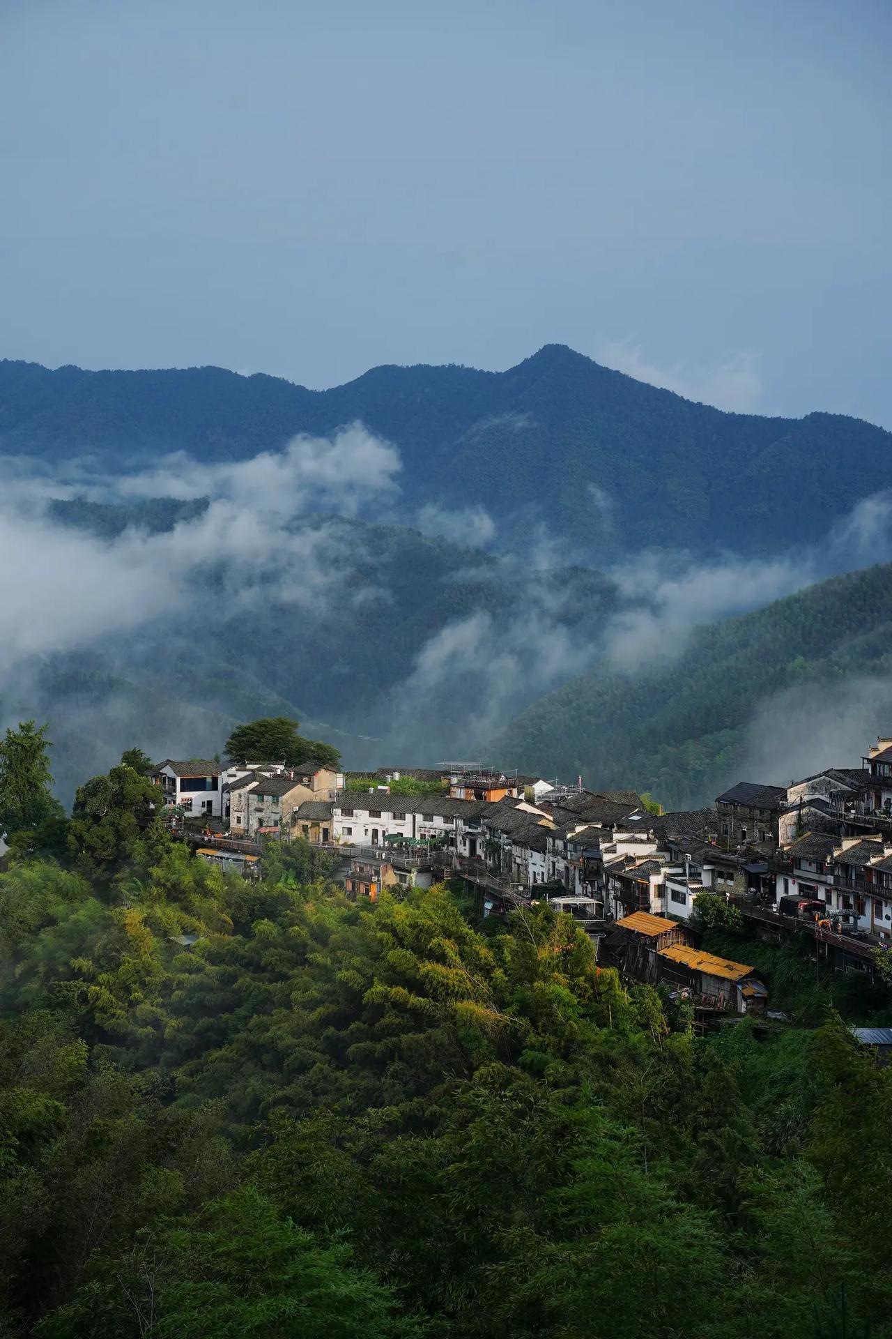 说实话，我看人会看面相。你瞧瞧台湾那些国民党官员，特别是排在前面的那几位，看上去