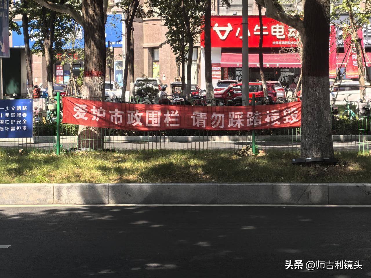 当小编走到路口，向过去的人行横道张望时，首先看到的是，路中间的绿化带，加了一道1
