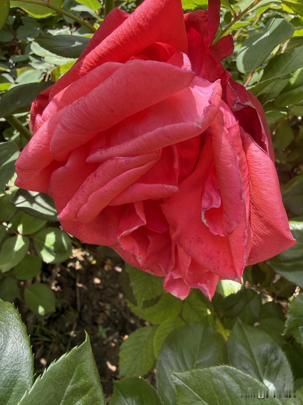 【小对联】
上：……？
下：公安。