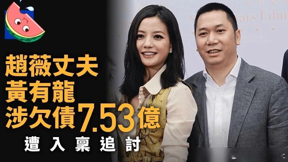 赵薇离婚 12月23日有港媒报道，智择创投有限公司向高等法院入禀向黄有龙追讨欠款