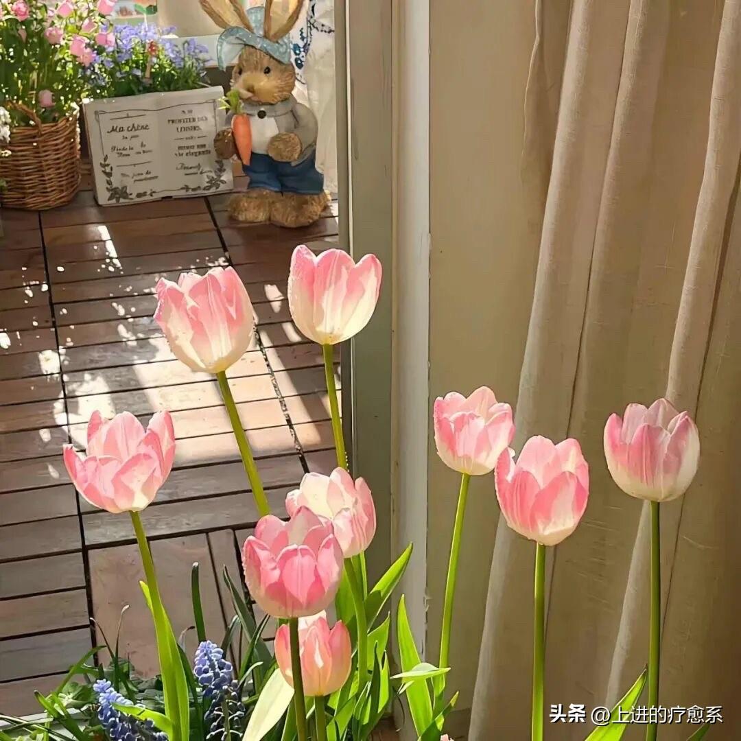 被喜欢的人敷衍时，十二星座会……

【白羊、狮子】：直接炸毛，脾气当场写在脸上