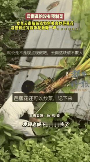 云南景迈山，女子旅游时点了道当地特色炒芭蕉花，下单后老板却“凭空消失”。突然窗外
