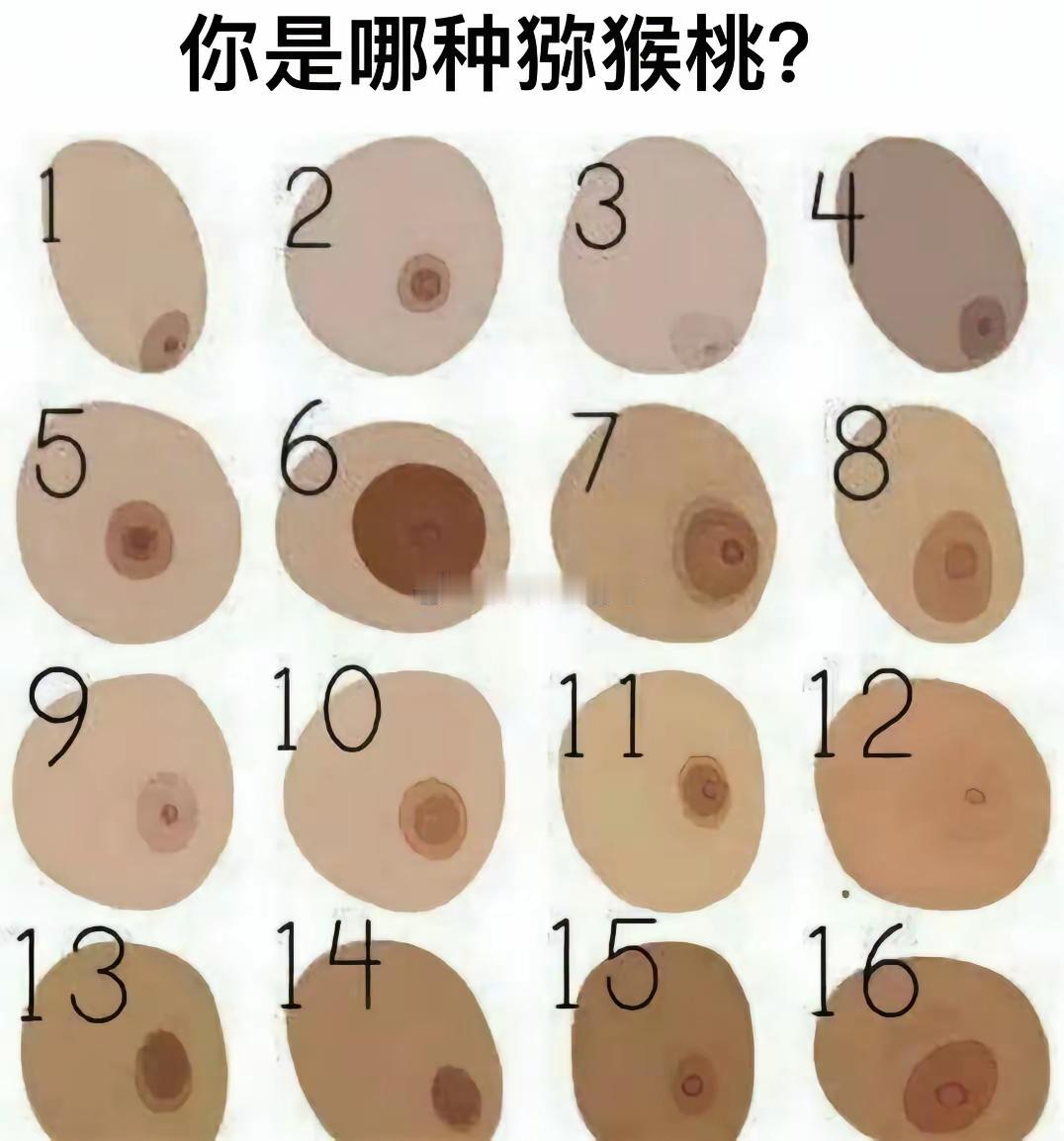 你是哪一种猕猴桃？对号入座。