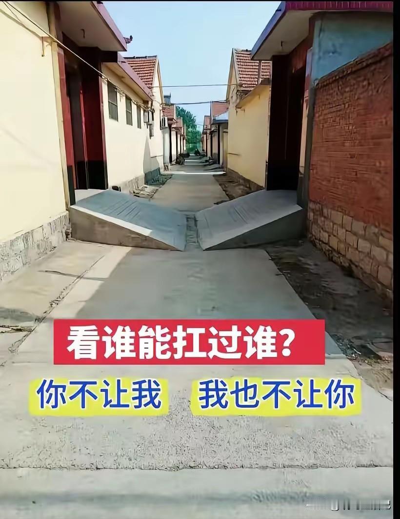 这两家人还是可以的，最起码自行车能过去[捂脸]
