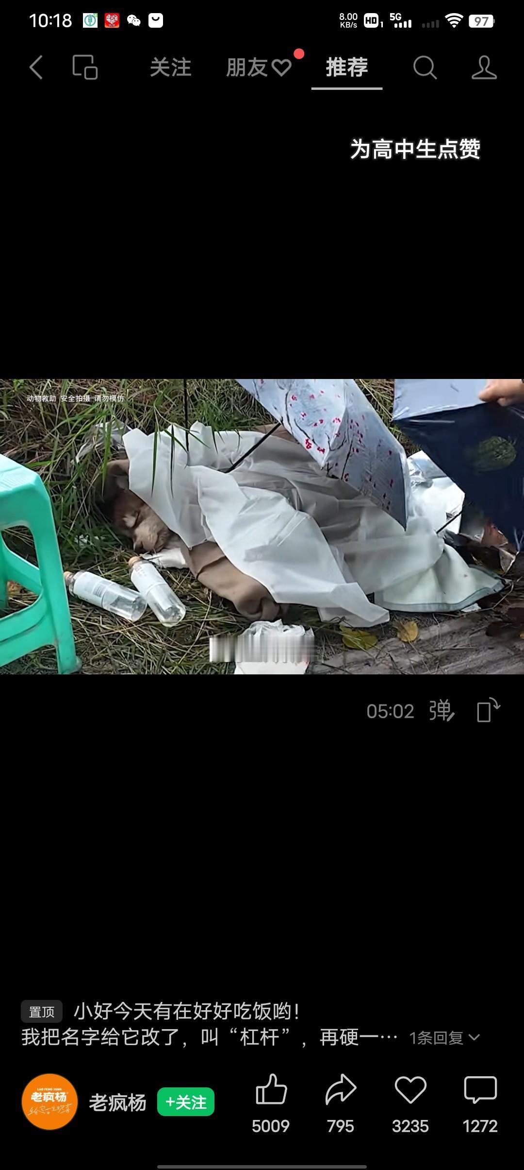 可以不爱但别伤害！
有网友向救助站求救，路边有位高中同学，在路边捡了一条受伤的阿