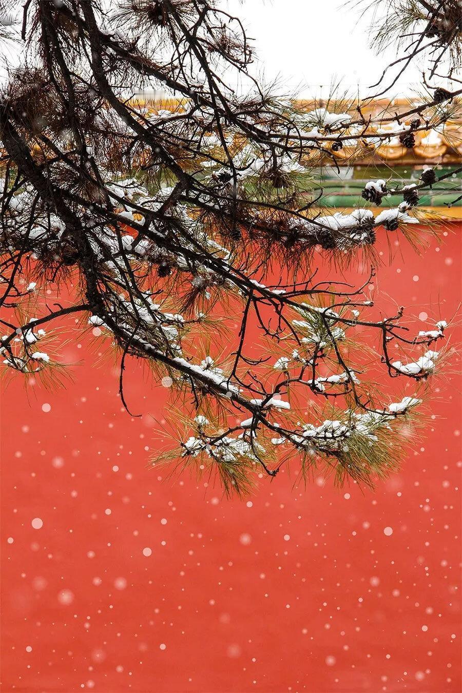 1月17日北京下了今年首场全市性降雪，1月18日故宫博物院就在官微发了雪景照片。