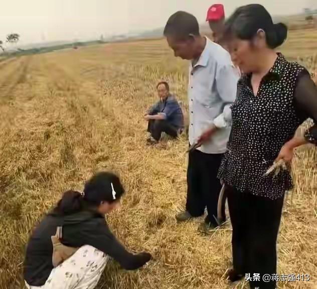 记录我的2026最近网上全是襄阳割四赔五这个词，我也看了一些新闻。割四赔五确实是