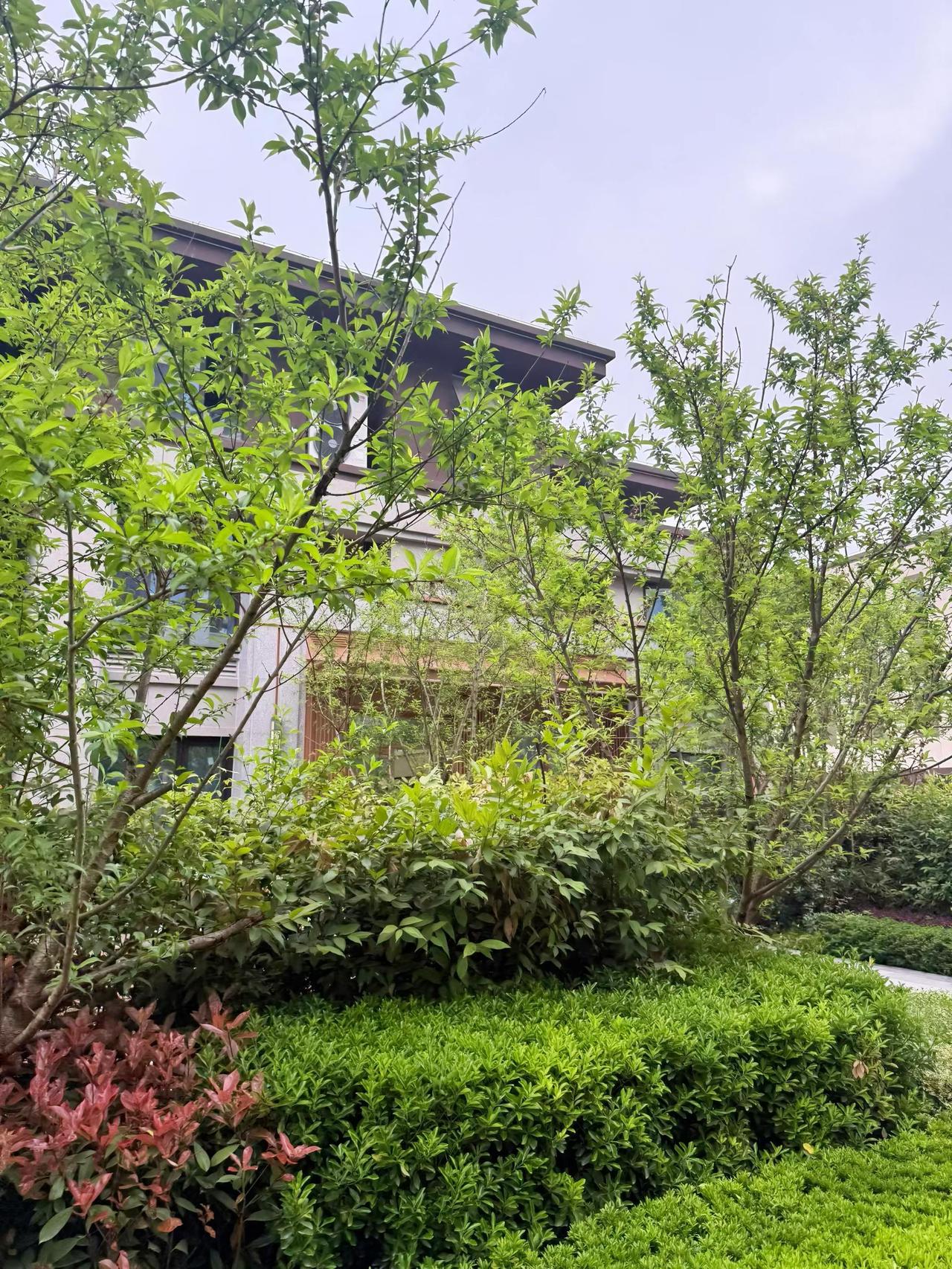 哈哈，
别再问我们有没有装修过带花园的户型了，
因为这已经是今年的第4套了，
我