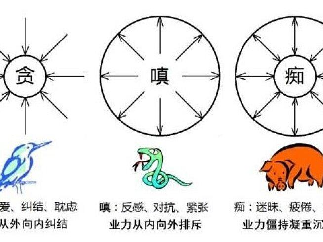 佛家说人有一百零八种烦恼，所有心绪纷乱、纠结痛苦，根源都绕不开贪、嗔、痴三毒，这