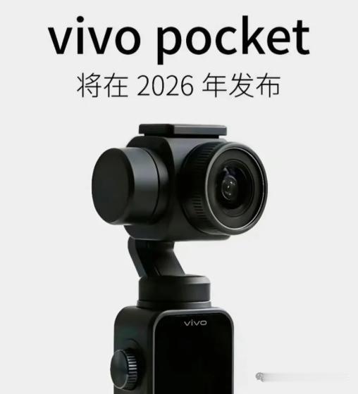 2026下半年云台相机市场一定非常有惊喜，当时代进步，影像记录方式有变化之后，p