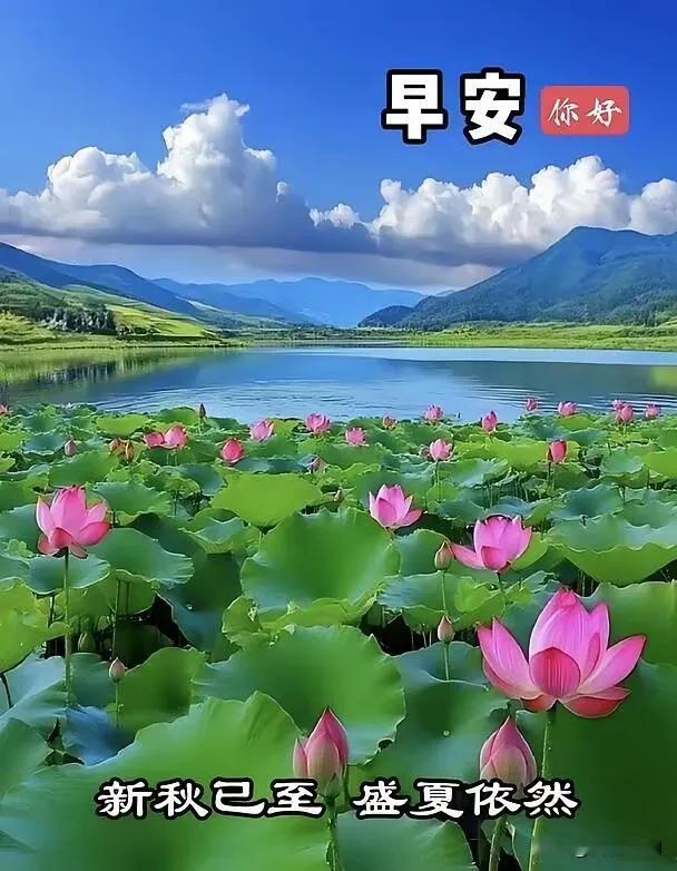 生活不必事事圆满，守住一份平常心就好，愿清晨的暖意，抚平所有疲惫，一切慢慢向好。